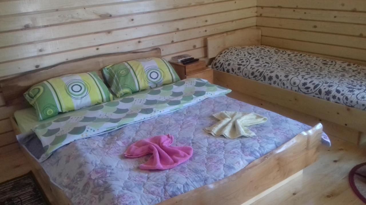 Шале Kolibe Ćoric Мойковац-24