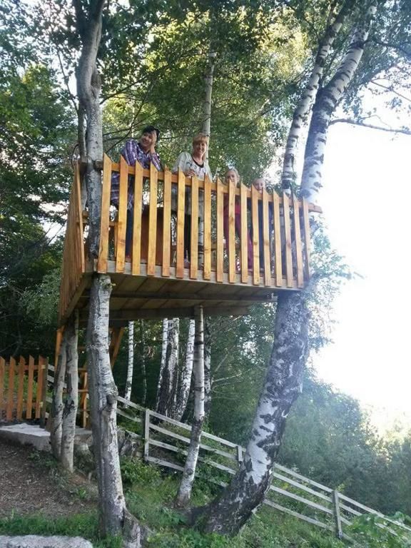 Шале Kolibe Ćoric Мойковац-53