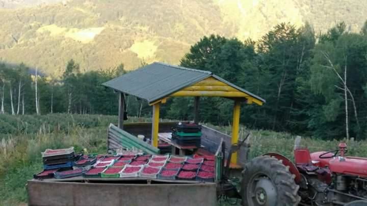 Шале Kolibe Ćoric Мойковац-65