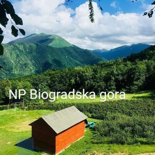 Шале Kolibe Ćoric Мойковац-5